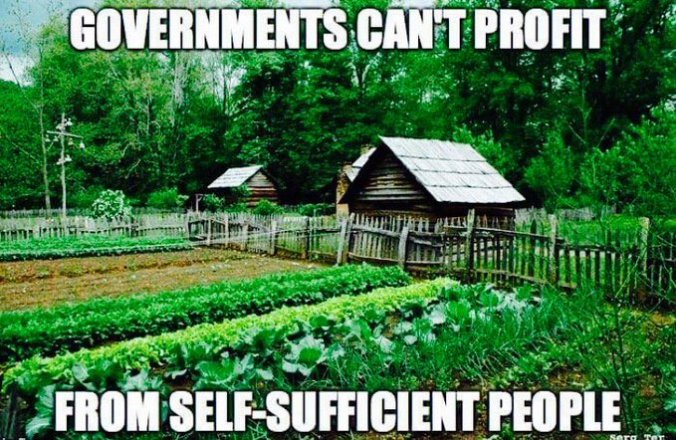 GovernmentProfit